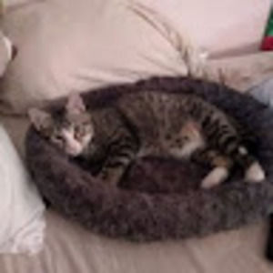 Meet your Posher, Shana